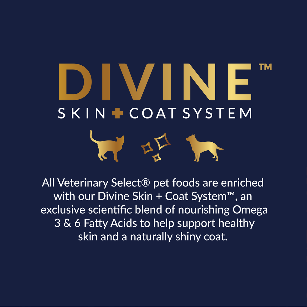 Veterinary Select Digestive Care + Weight Management Dry Dog Food | 8.5 LB